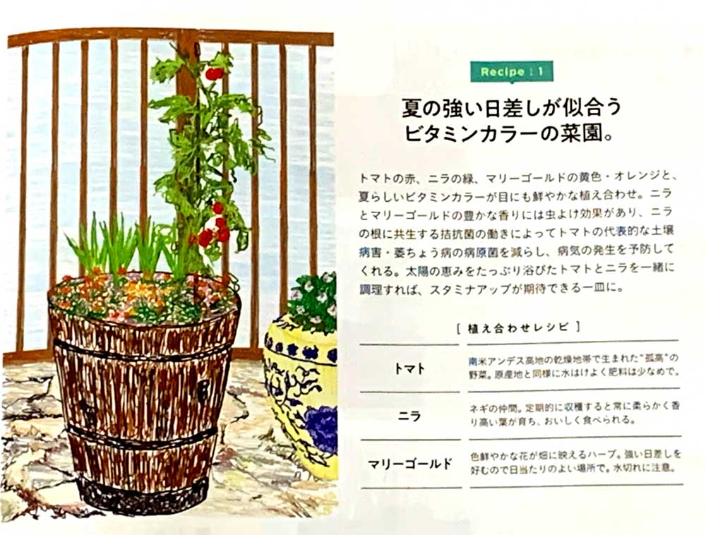 野菜植え合わせ、相性、トマト